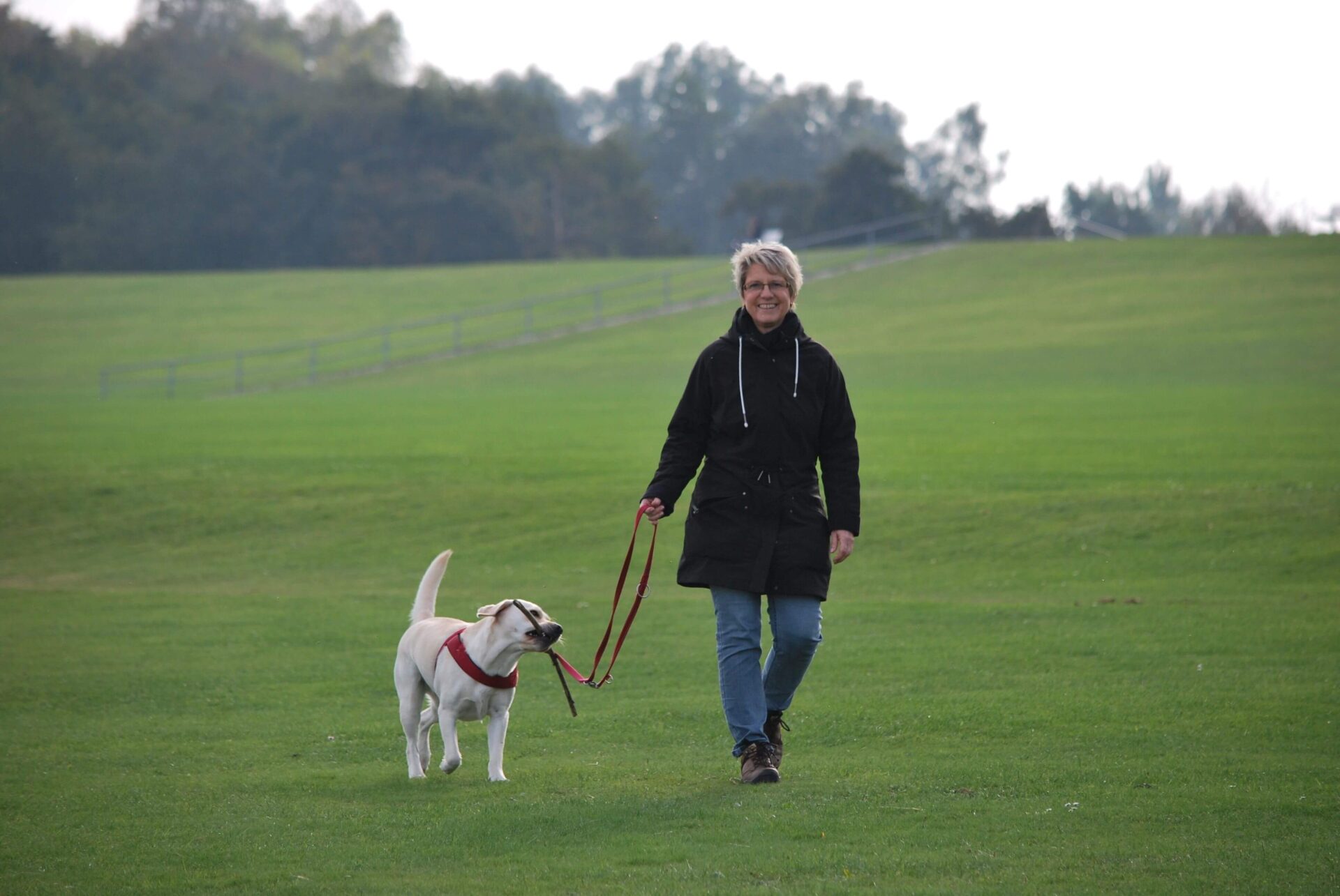 TREATMENT NEVER STOPPED FOR COVID